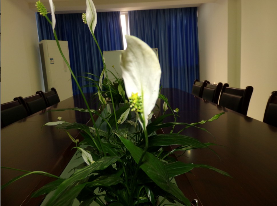 會(huì)議室一帆風(fēng)順 會(huì)議室一帆風(fēng)順